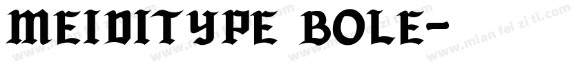 MEIDITYPE BOLE字体转换